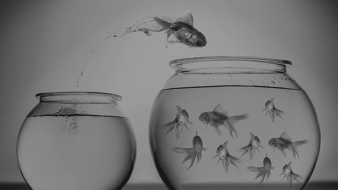 ¿Tu seguro mejora al cambiar a una correduría de seguros?