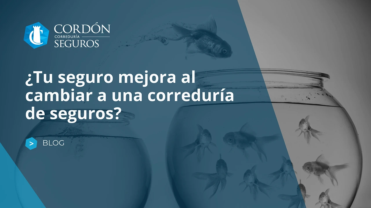 ¿Tu seguro mejora al cambiar a una correduría de seguros?