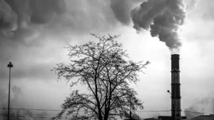 La Responsabilidad Civil Medioambiental con casos prácticos